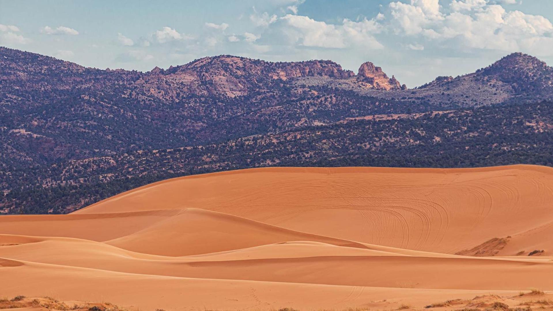 Southern Utah Hidden Gem Near Zion National Park Orderville Exterior photo